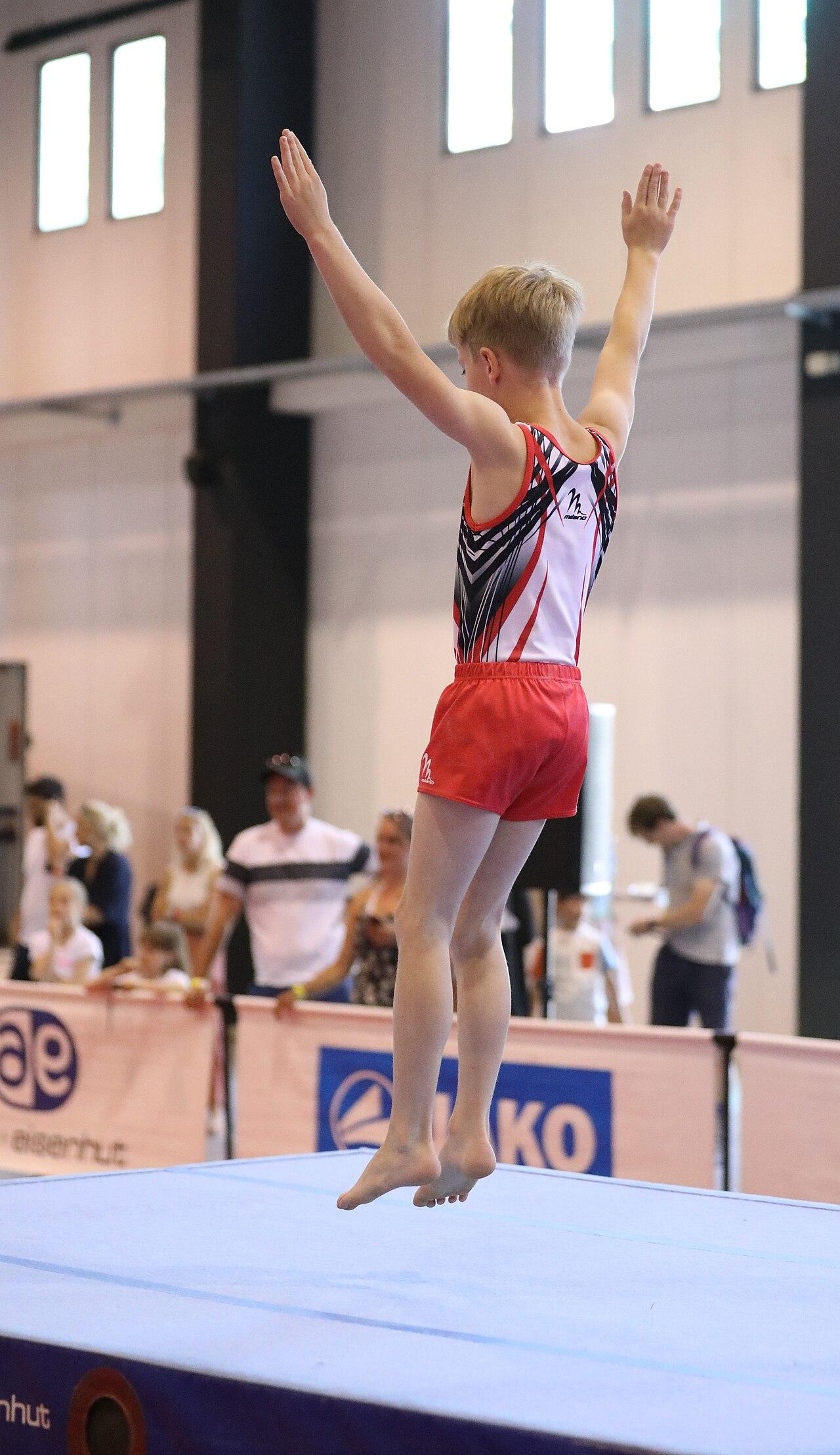 体操入门：从零开始的正确姿势（战术执教视角）