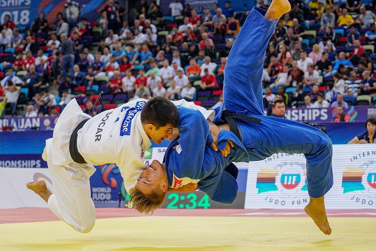 柔道科学训练:如何把努力练到点子上(产业未来视角)
